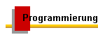 Programmierung